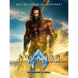 AQUAMAN 2 ET LE ROYAUME...