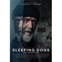 SLEEPING DOGS.   DVD