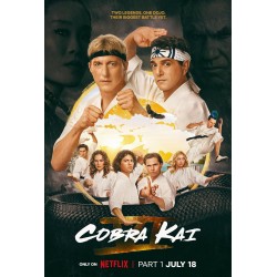 COBRA KAI S1 à 5.   SERIES