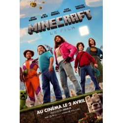 MINECRAFT LE FILM.   DVD