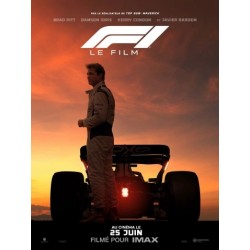 F1® LE FILM.   DVD