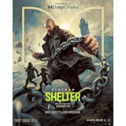 SHELTER.   DVD