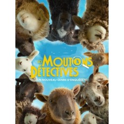 LES MOUTONS DÉTECTIVES.   DVD