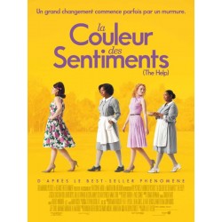 LA COULEUR DES SENTIMENTS DVD