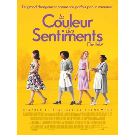 LA COULEUR DES SENTIMENTS DVD