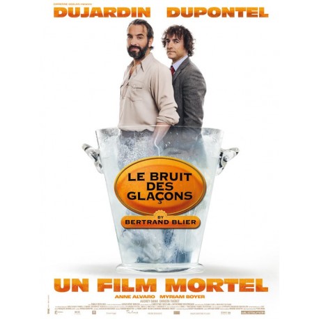 LE BRUIT DES GLACONS DVD