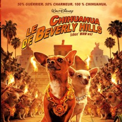 LE CHIHUAHUA DE BEVERLY HILLS 1 DVD