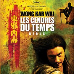 LES CENDRES DU TEMPS DVD