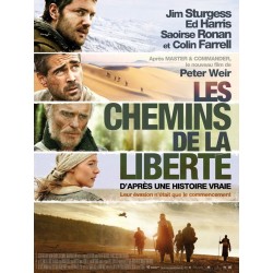 LES CHEMINS DE LA LIBERTE DVD