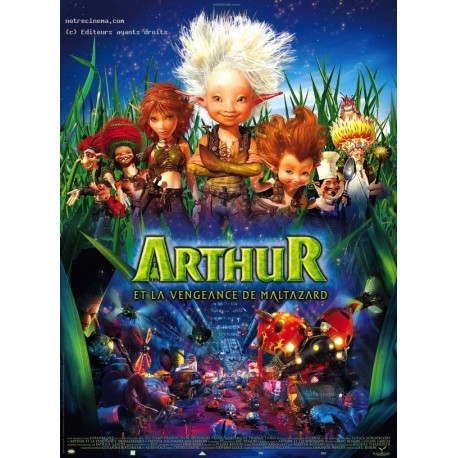 ARTHUR ET LA VENGEANCE DE MALTAZARD DVD