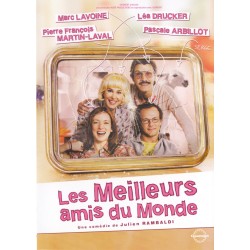 LES MEILLEURS AMIS DU MONDE DVD