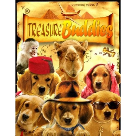 LES TOBBY CHASSEURS DE TRESOR DVD