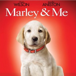 MARLEY ET MOI 1 DVD