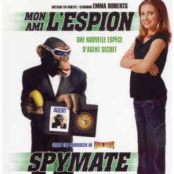 MON AMI L'ESPION DVD