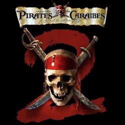 PIRATES DES CARAIBES 2 DVD