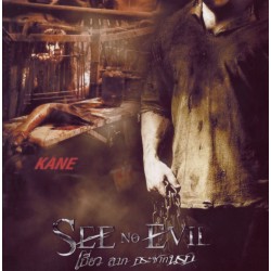 SEE NO EVIL DVD