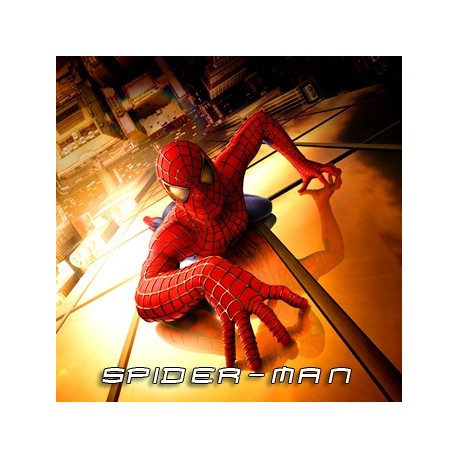 SPIDERMAN 1 DVD