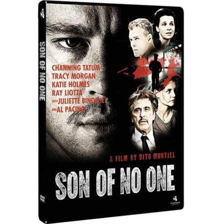 THE SON OF NO ONE DVD