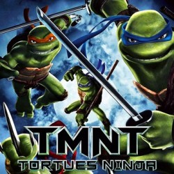 TORTUES NINJA DVD