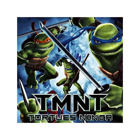 TORTUES NINJA DVD