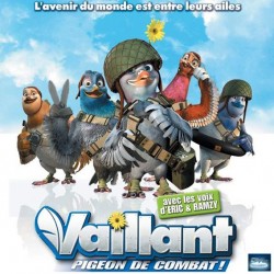 VAILLANT DVD