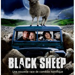 BLACK SHEEP DVD