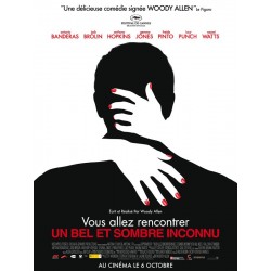 VOUS ALLEZ RENCONTRER UN BEL ET SOMBRE INCONNU DVD