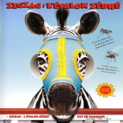 ZIG ZAG DVD
