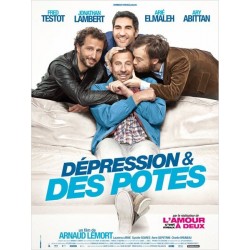 DEPRESSION ET DES POTES DVD