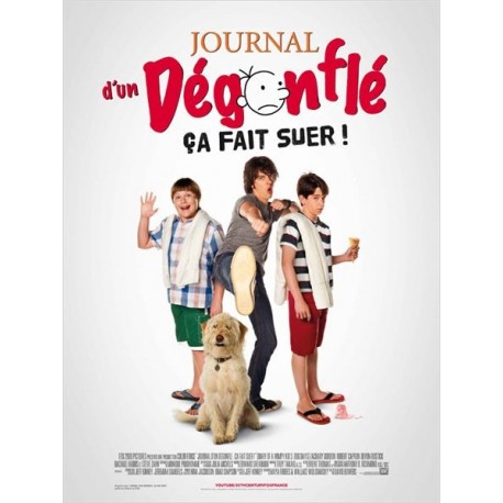 JOURNAL D UN DEGONFLE sa fait suer. DVD