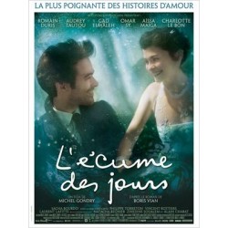 L'ECUME DES JOURS. DVD