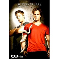 SUPERNATURAL S8. SERIES