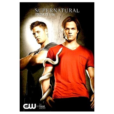 SUPERNATURAL S8. SERIES