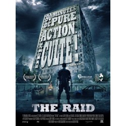 THE RAID DVD