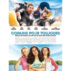 COPAINS POUR TOUJOURS DVD