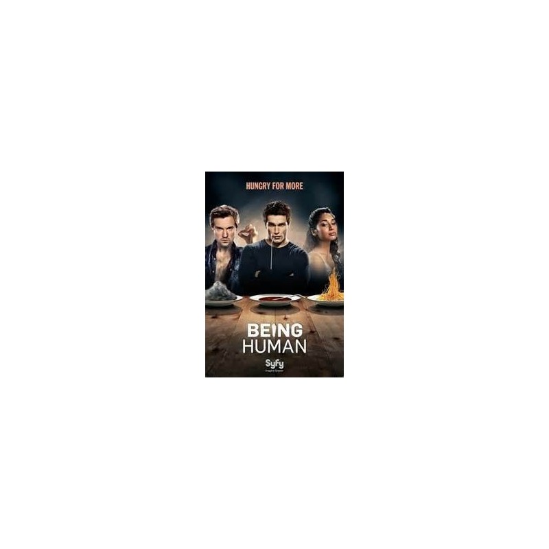 BEING HUMAN US S4. SERIES