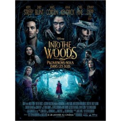 INTO THE WOODS Promenons nous dans les bois. NEWS