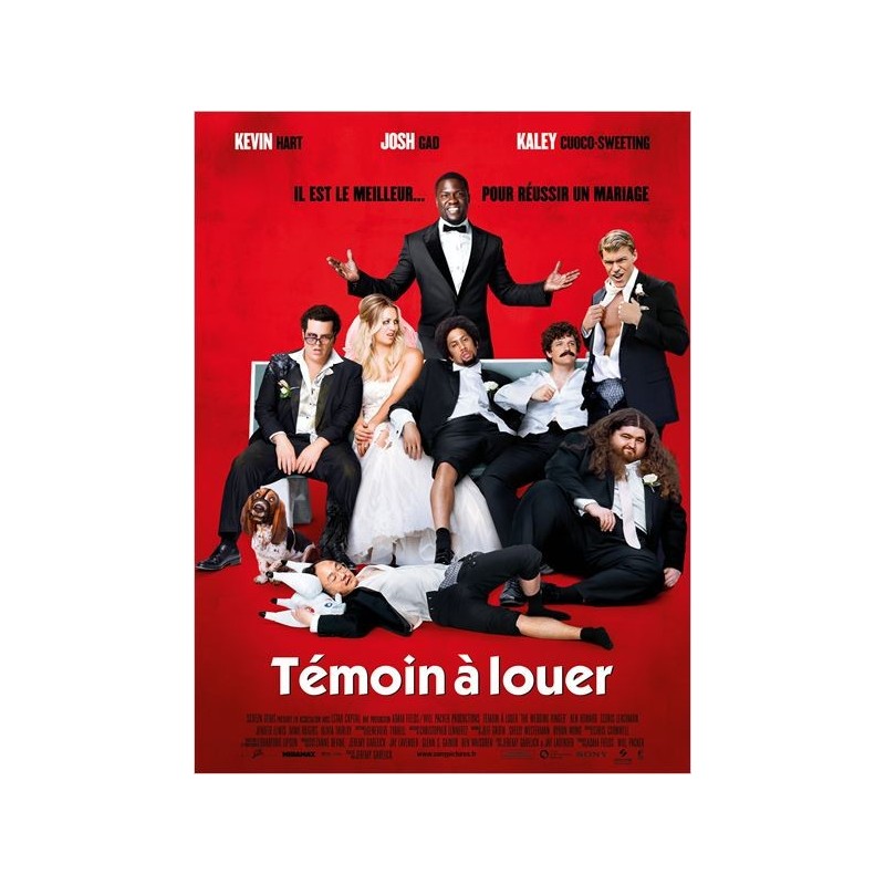 TEMOIN A LOUER. DVD