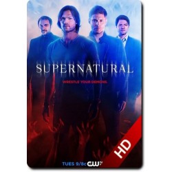 SUPERNATURAL S10. SERIES