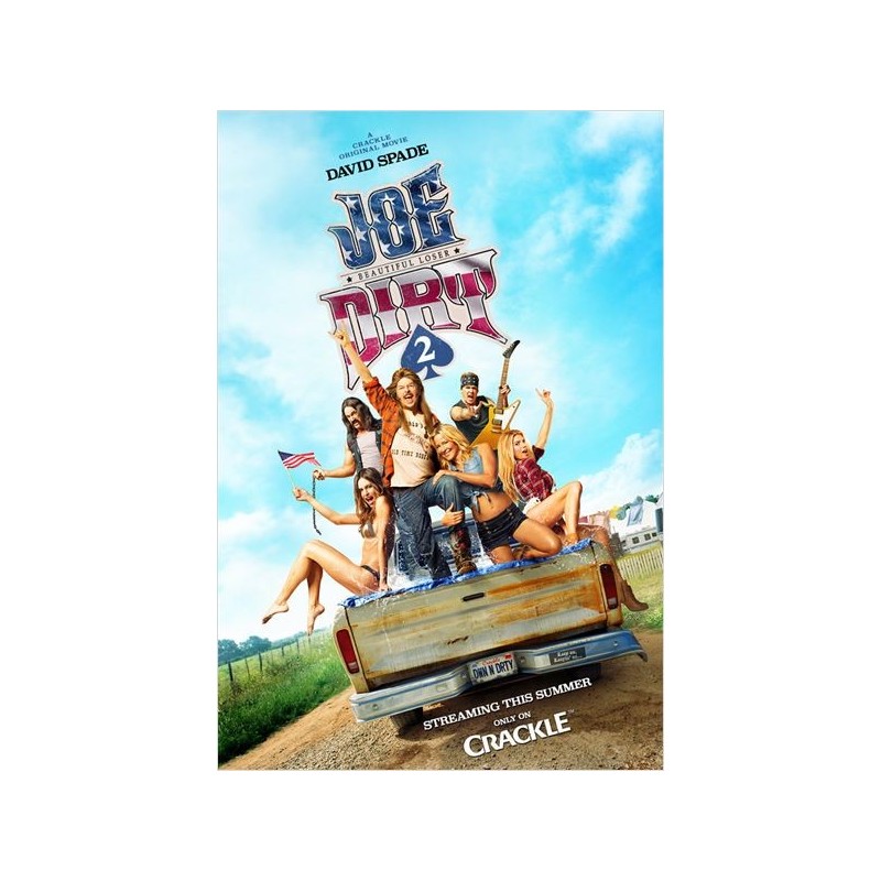 JOE DIRT 2 Beautiful Loser. DVD