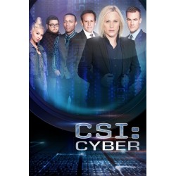 LES EXPERTS CYBER S1. SERIES