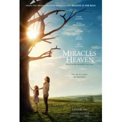 MIRACLES FROM HEAVEN. DVD