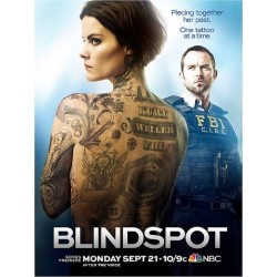 BLINDSPOT S1. SERIES