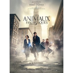 LES ANIMAUX FANTASTIQUES. DVD