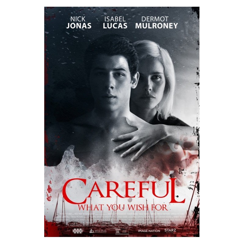 CAREFUL WHAT YOU WISH FOR . DVD