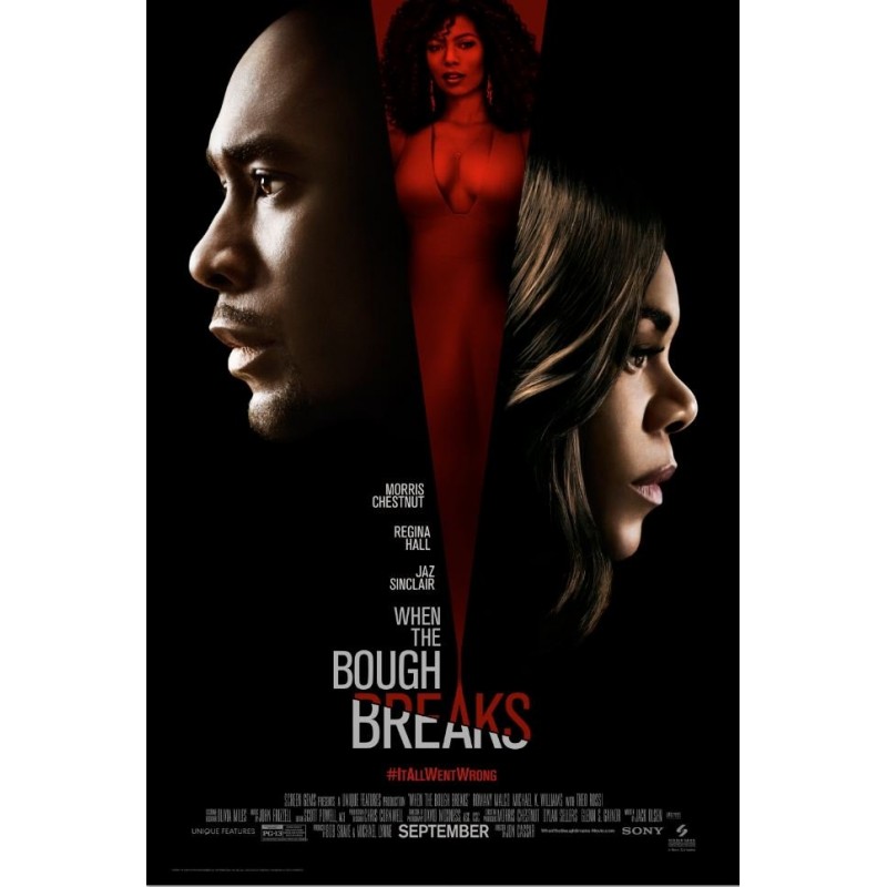 WHEN THE BOUGH BREAKS. DVD