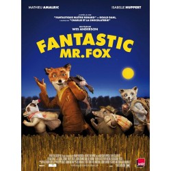 FANTASTIC MR FOX DVD