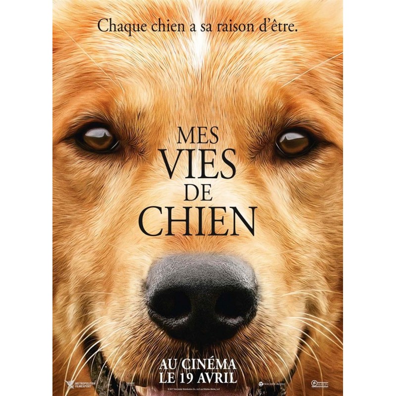MES VIES DE CHIEN. DVD