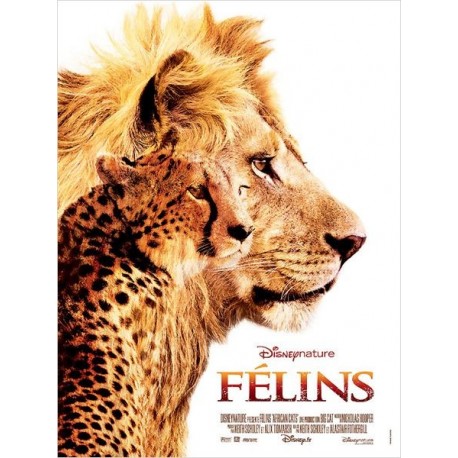 FELINS DVD