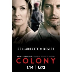 COLONY S2. SERIES